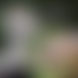 Krafttiere im März 2021