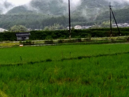 山が生きている