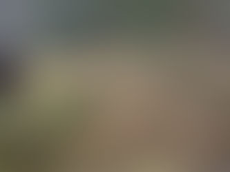 またまた雪降り。。。