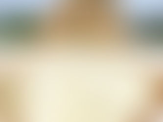 稲木 お米好きと繋がりたい