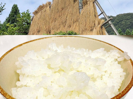 稲木 お米好きと繋がりたい