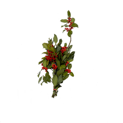 Ilex 0.2 kg