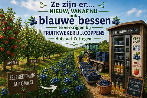 blauwe bessen geplukt.jpeg