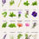 Thumbnail: TACTIKO Medicinal & Tea Herb Seed Kit – 40 Heirloom Non-GMO USA Varieties