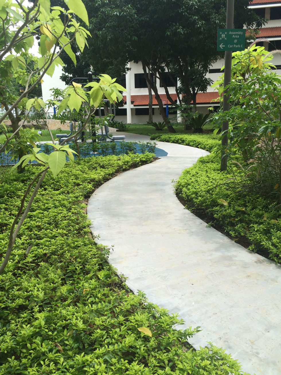 ByDesign_Hospital_IMH3