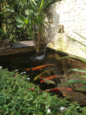 ISS HYDROCULTURE OFFICE