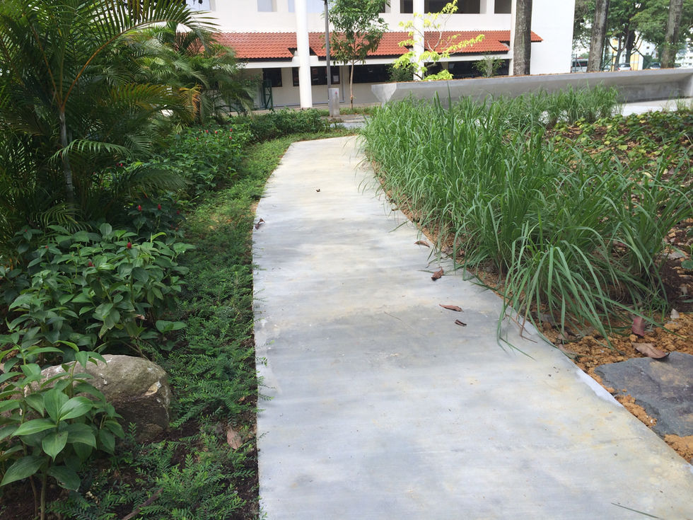 ByDesign_Hospital_IMH7
