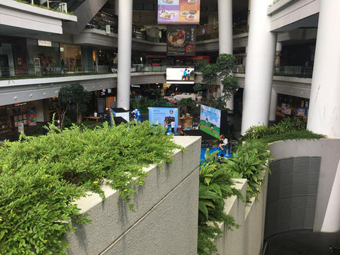 THE STAR VISTA