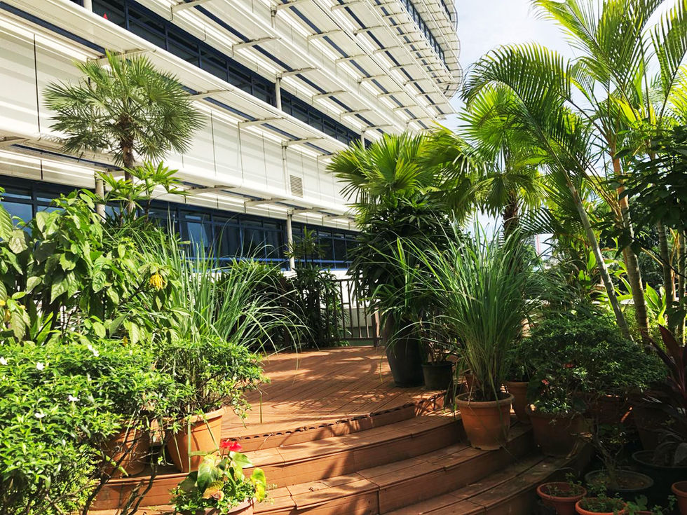 ByDesign_Hospital_KKH2
