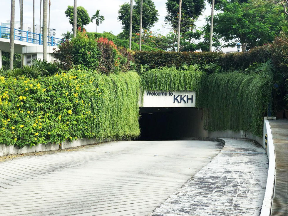 ByDesign_Hospital_KKH3