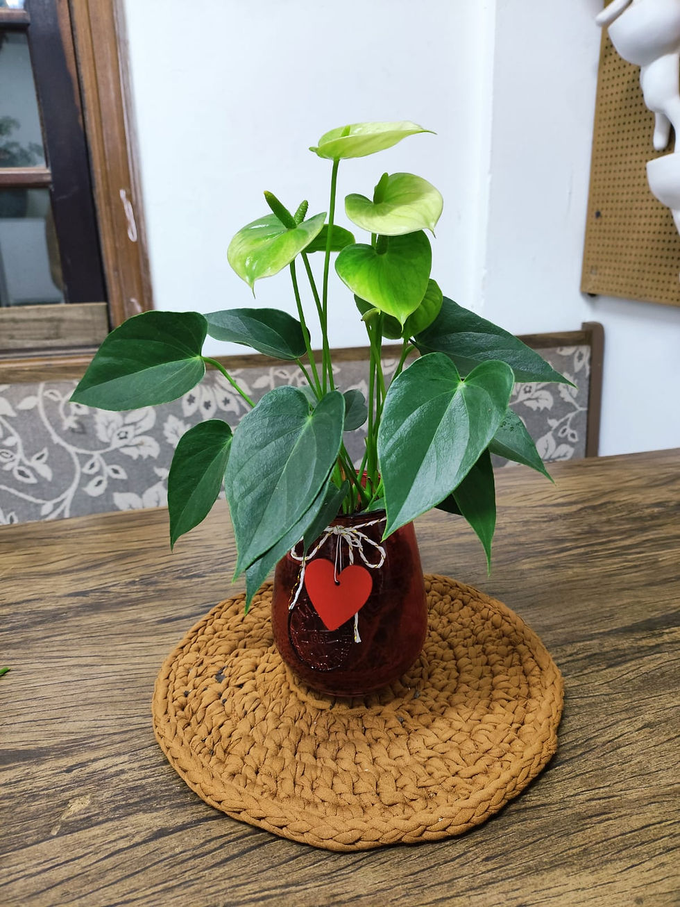 Arranjo Elegância Tropical