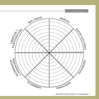 Gráfico de la rueda de la vida