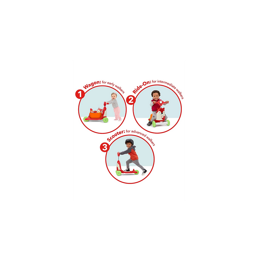 Miniatura: Skip Hop Scooter 3 en 1