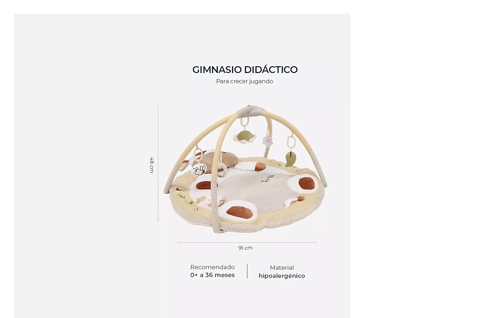 Miniatura: Gimnasio Didáctico Carestino