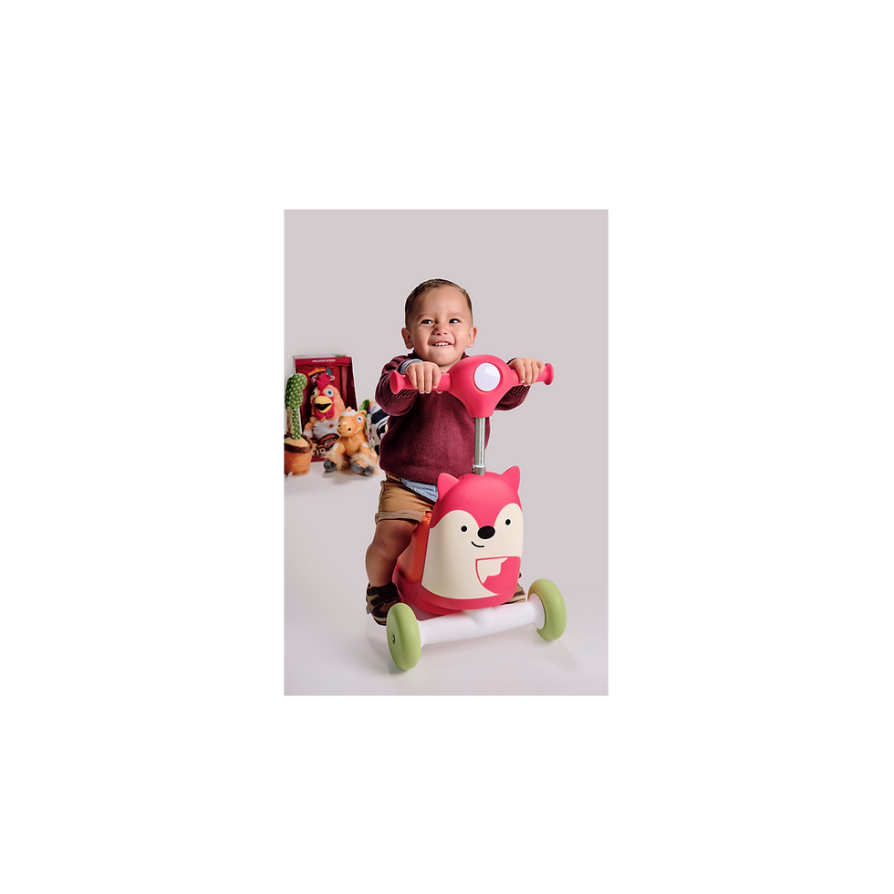 Miniatura: Skip Hop Scooter 3 en 1