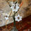 Miniature : Deux Lampes XIXème