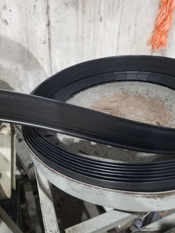 Caracol Negro 4" x 3"