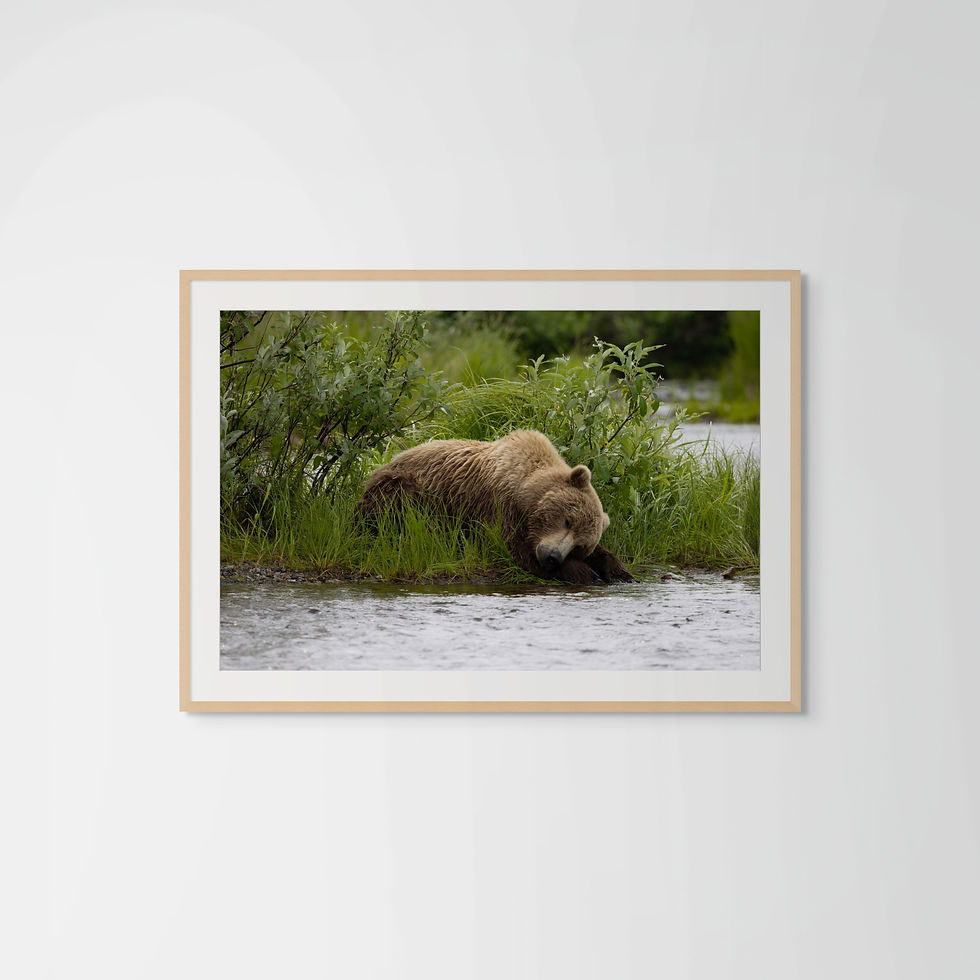 Thumbnail: "Too Tired To Fish"