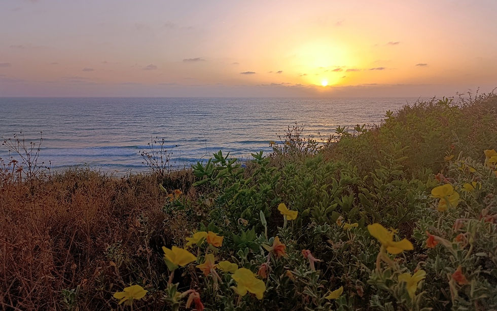 Vue au coucher du soleil depuis la promenade de Netanya