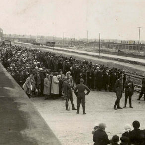 Auschwitz chronologie