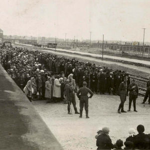 Auschwitz chronologie