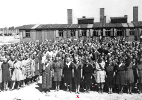 Photo de Birkenau où Lili Jacob s'est reconnue