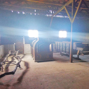 Auschwitz timeline