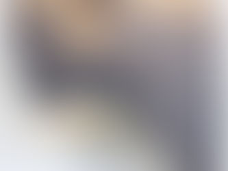 La Bible dit vrai : la stèle de Tel Dan