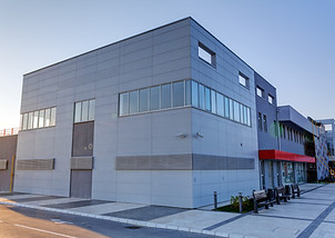 Industrial Building