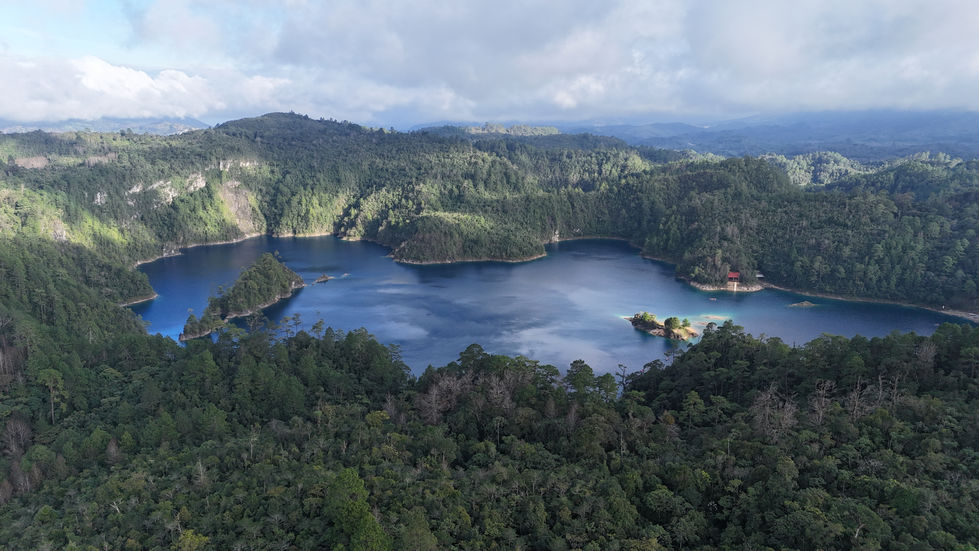 dji_fly_20241204_155446_0539_1733417123911_photo