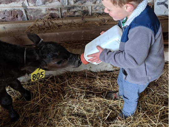 Leaning Pine Farm.png