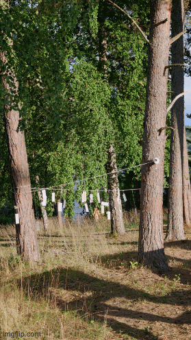 I wish for you to be free.gif