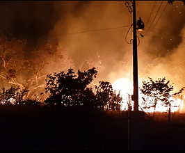Chegada do período de seca aumenta as chances de incêndios
