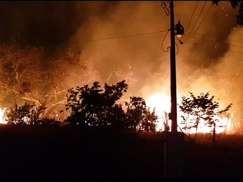 Chegada do período de seca aumenta as chances de incêndios