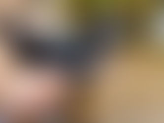 Cuidados necessários para os pets no verão