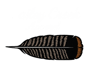 Bailey Creek Feather