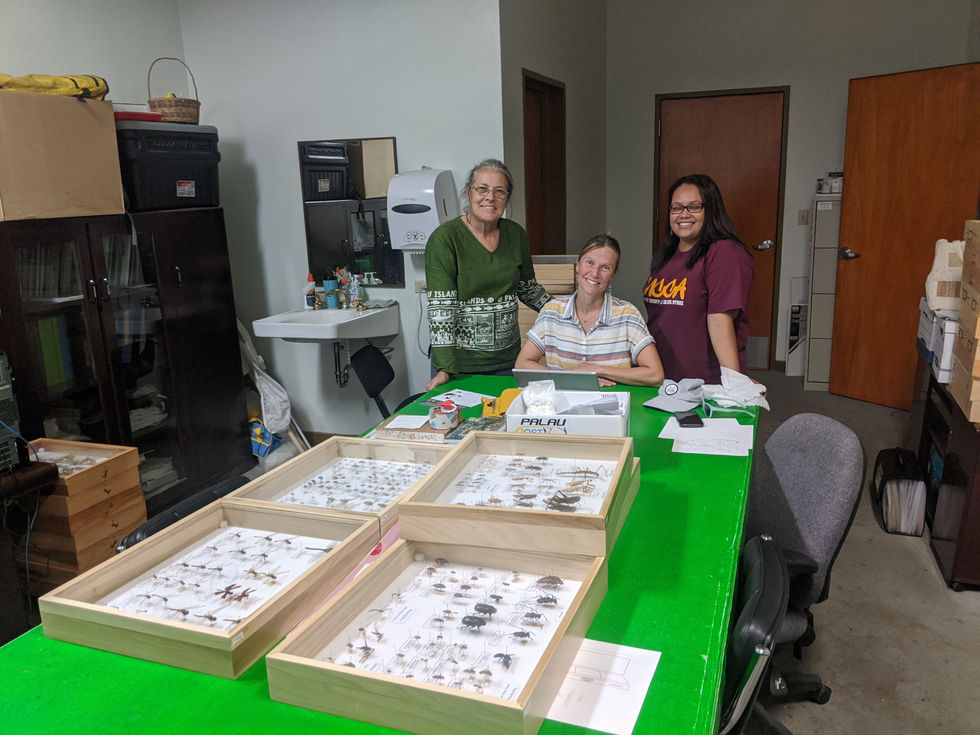 Olga at the Belau National Museum with Anne Kitalong and Sholeh Hanser.