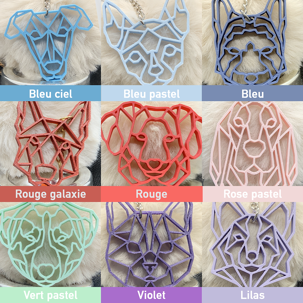 Miniature : PORTE CLEFS ELEVEURS