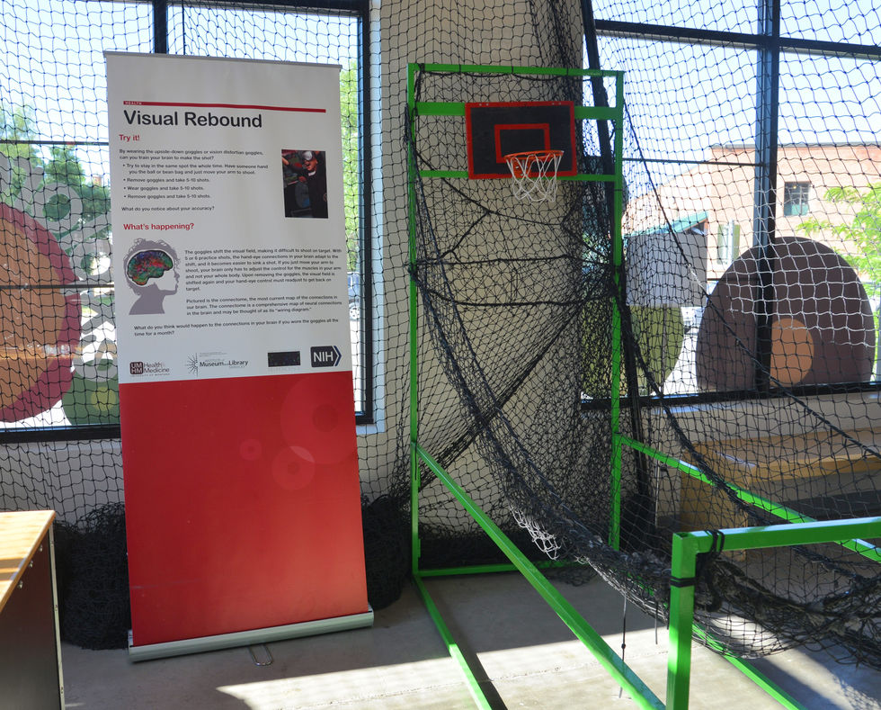 Visual rebound sign in situ