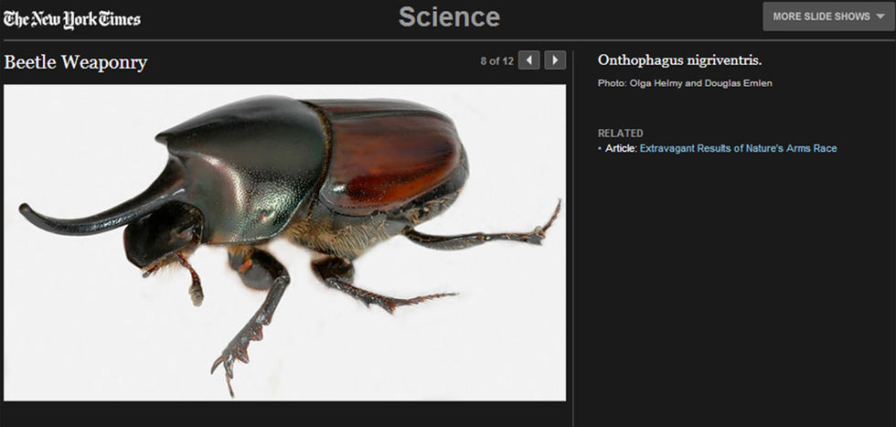 On-line Science Times