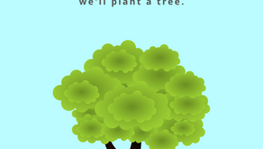 We'll plant a tree for every school that signs up.