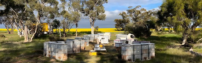 Untitled design (2).png