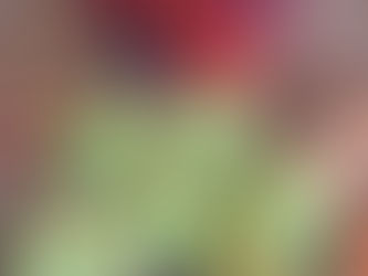 Fried Green Tomatoes