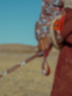 Thumbnail: All-Over Print Pet Harness Set