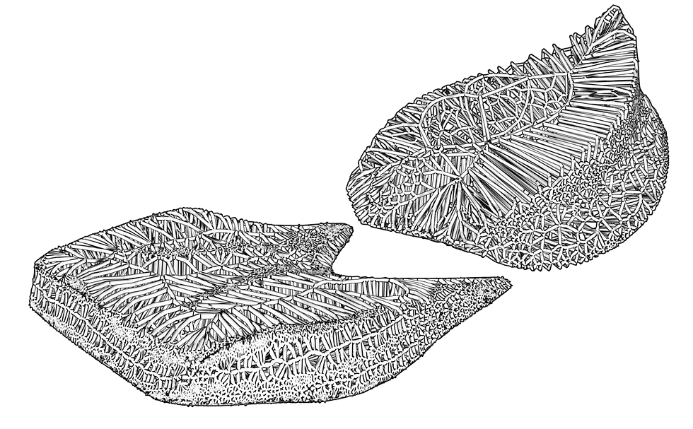 Outsole Overview (Generated in Houdini FX)