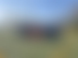 週末のそれぞれの活動②