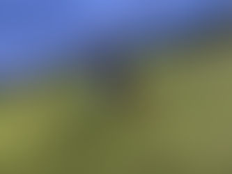 体の動かし方講習会⑦