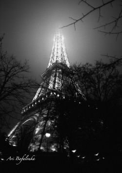 Eiffel fog 8.jpg