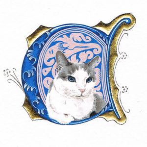 Blaue Initiale C mit Katze und Blattgoldverzierung. Der Hintergrund in der Initiale ist blau und rosa.  