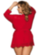 Sexy red sheer and lace plus size lingerie robe
